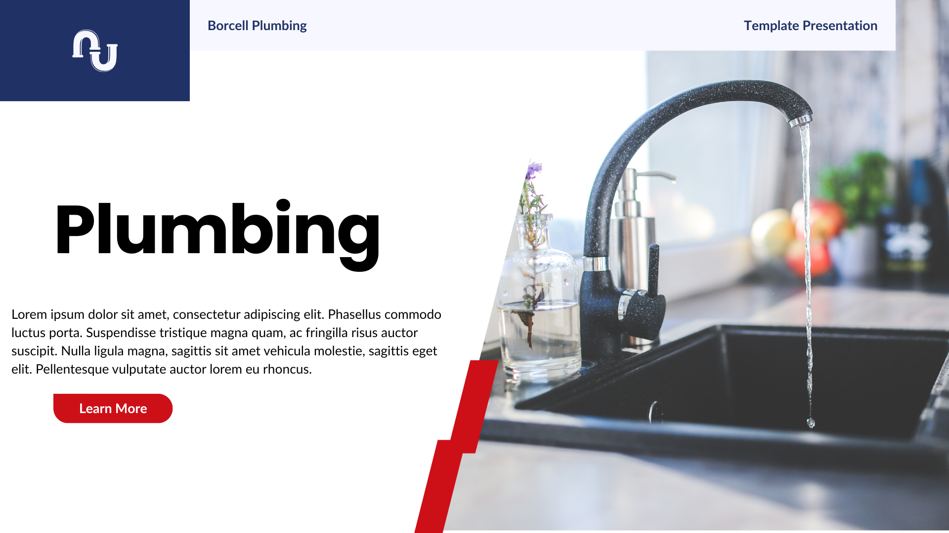 plumbing website mockup